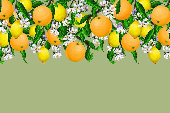 Orangen und zitronen zwischen blättern und blumen