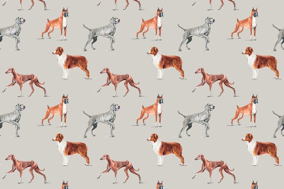 Majestätische hunde aquarell-illustration auf grauem hintergrund