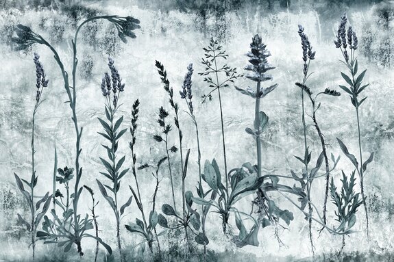 Wilde blumen auf einer wiese mit lavendel