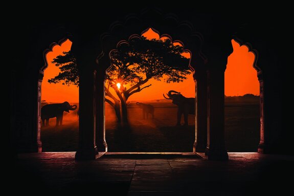 Blick auf bögen vor dem hintergrund afrikas mit elefanten