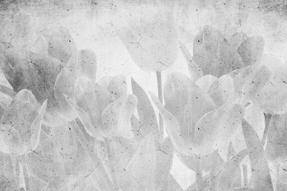 Graue tulpenarrangement auf beton