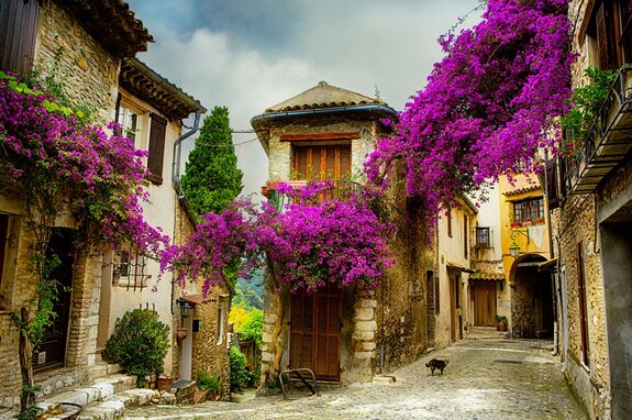 Bunte allee mit bougainvillea in einer historischen stadt