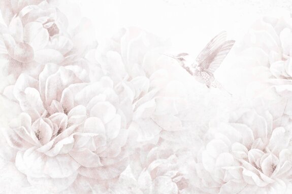 Kolibri zwischen pastell-pfingstrosenblumen