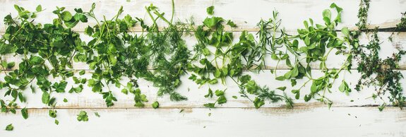Fresh herbs on whitewashed boards