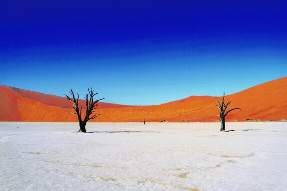 Trockene bäume in der wüste mit hügeln