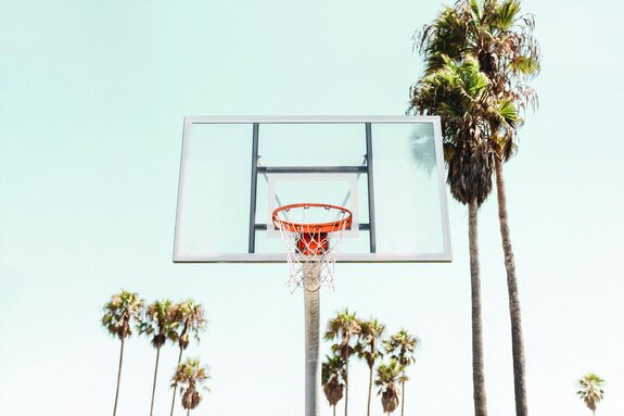 Basketballkorb vor palmenhintergrund
