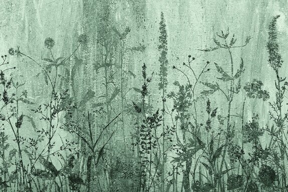 Wildblumenwiese auf beton