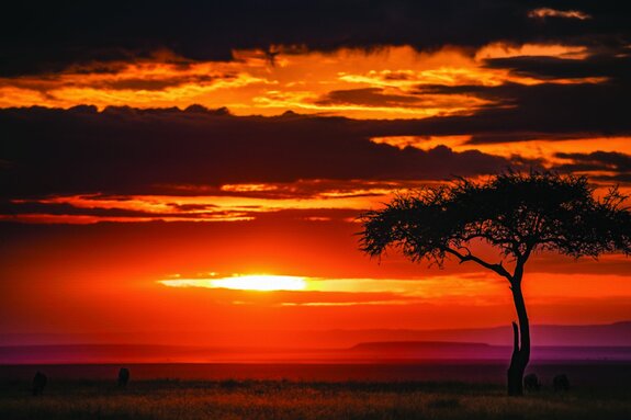 Sonnenuntergang auf einer ruhigen safari