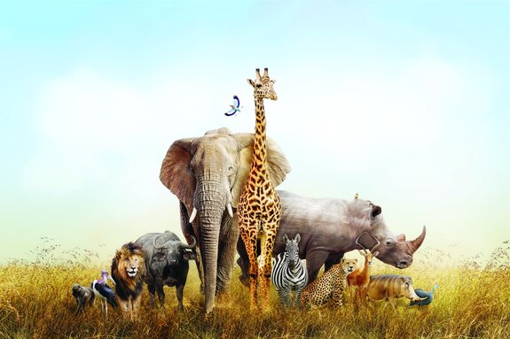 Wilde tiere auf safari