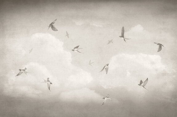 Monochromatischer himmel mit fliegenden schwalben