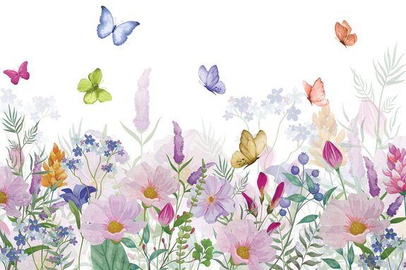 Bunte blumenwiese und bunte schmetterlinge auf weißem hintergrund natürliches motiv