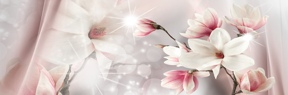 Magnolia reflection (1 part) narrow