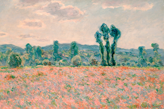 Rote mohnblumen in einer natürlichen berglandschaft