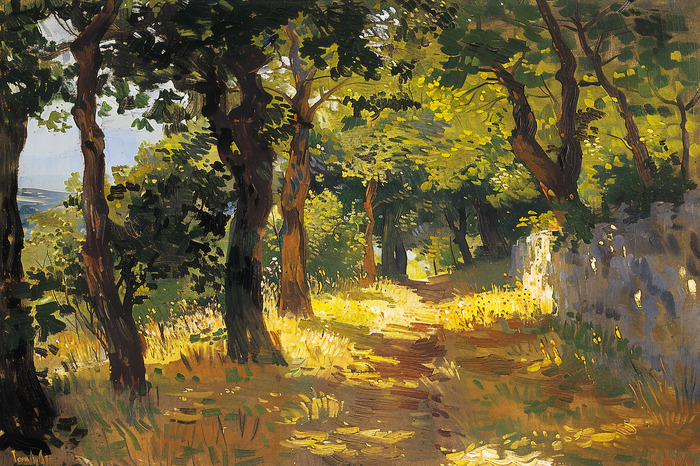 Waldweg sonnige landschaft