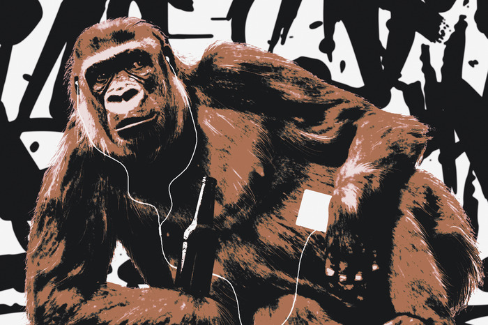 Gorilla urban pop art