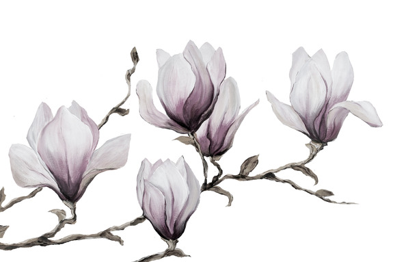 Painted magnolias (1 part) wide