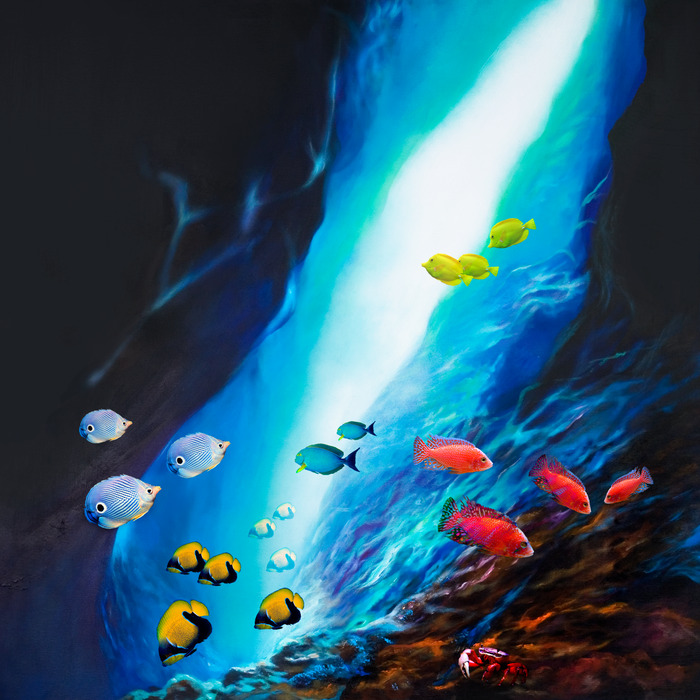 Bunte fische im tiefen wasser