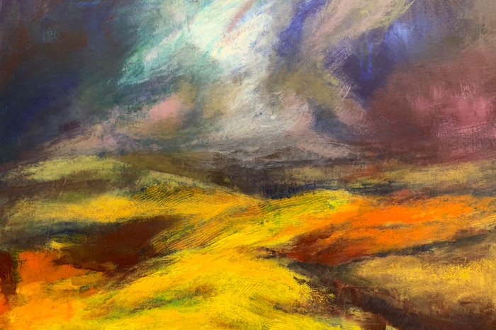 Eine ausdrucksstarke landschaft mit einem feld unter bewölktem himmel.