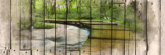 The river of memories