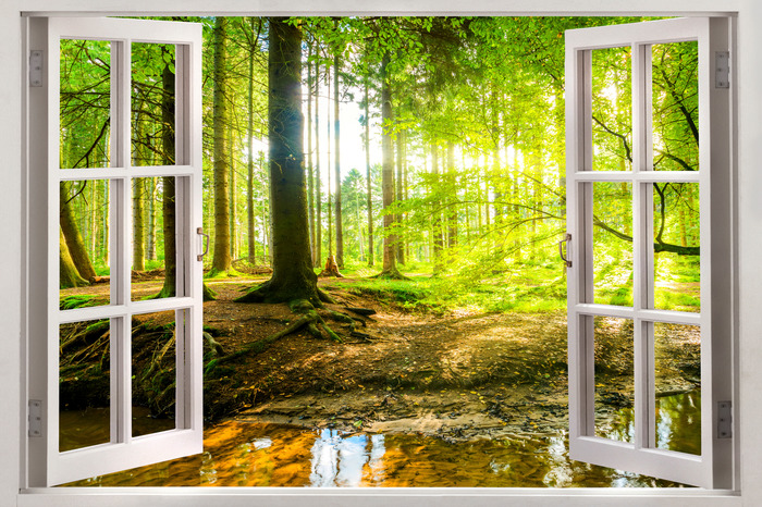 Ein offenes fenster mit blick auf den fluss und den wald