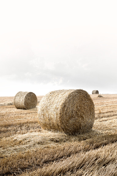 Hay (1 part) vertical