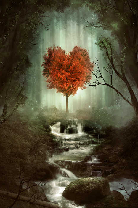 Zauberhafter wasserfall mit einem herzförmigen baum