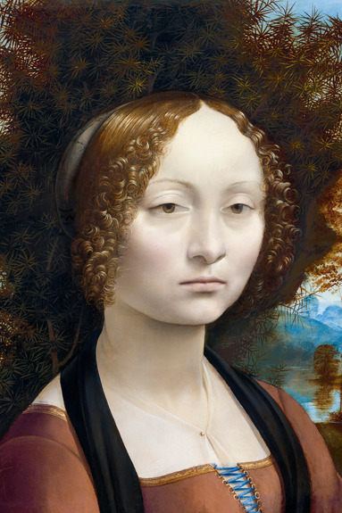 Ginevras geheimnisvoller blick in einer naturlandschaft