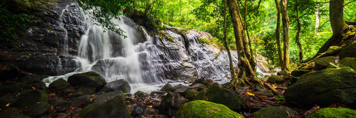 Ein waldwasserfall, der über felsen stürzt