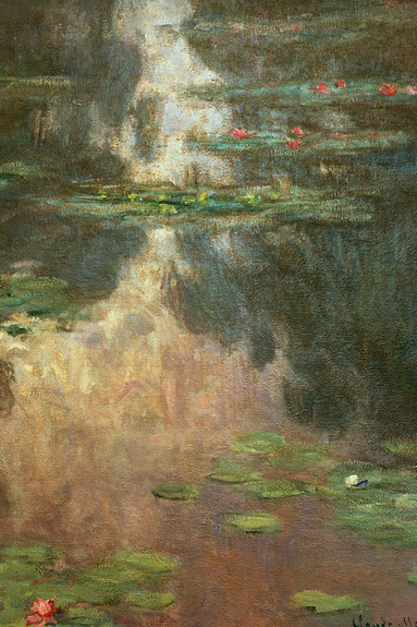 Sonnenstrahlen tanzen auf der oberfläche des mit seerosen bedeckten wassers