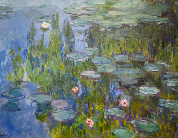 Ein wunderschöner teich, bedeckt mit üppiger seerosenvegetation