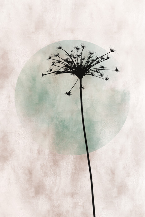 Silhouette einer pusteblume mit einem grünen kreis im hintergrund