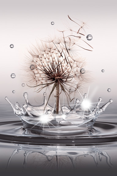 Wind drops (1 part) vertical