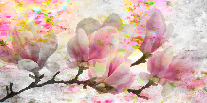 Aquarell-magnolienzweig in einer pastellkomposition