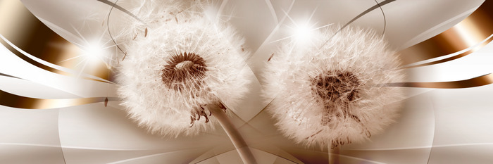 Löwenzahn vor einem leuchtenden braun-cremefarbenen hintergrund