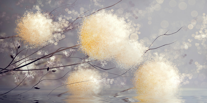 Löwenzahn in goldenem schimmer über der wasseroberfläche