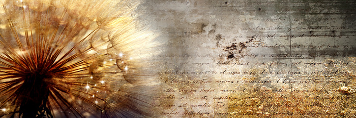 Löwenzahn im sonnenlicht auf typografischem hintergrund