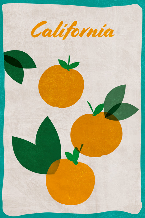 Kalifornische orangen im grafikstil