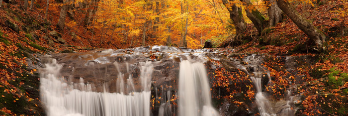 Waldwasserfall in herbstlicher landschaft