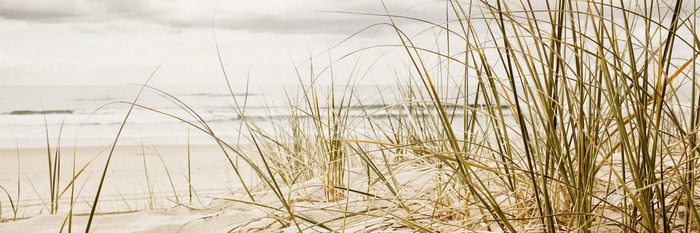 Stranddünen mit trockener vegetation