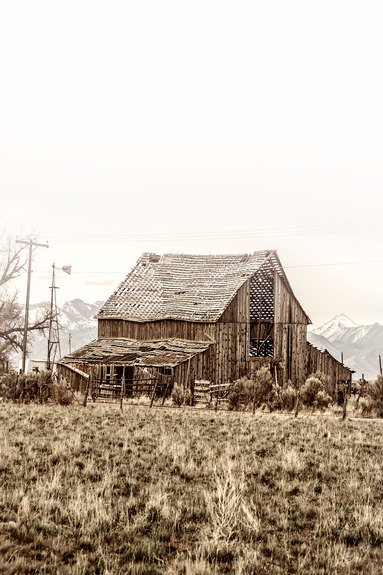 Abandoned ranch (1 part) vertical
