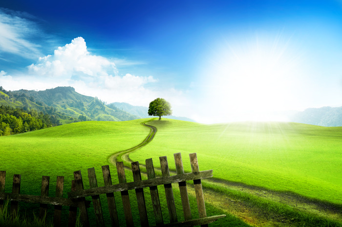 Ein feldweg, der zu einem grünen hügel führt