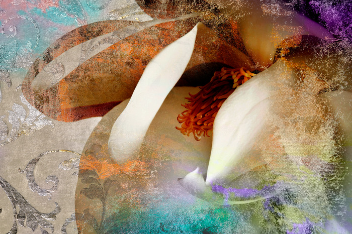 Künstlerisches detail einer magnolienblüte in verschiedenen farben