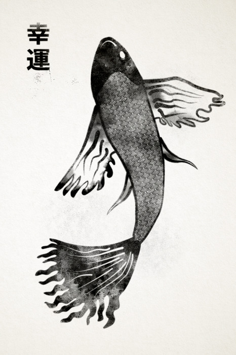 Koi-karpfen in schwarzweiß