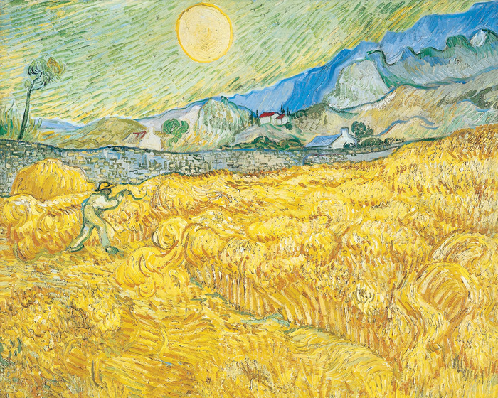 Malerische ernten in einem von grün umgebenen bergdorf