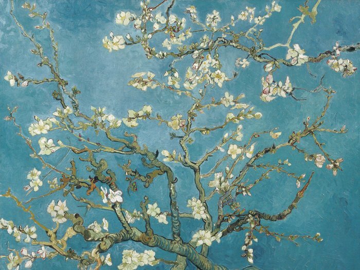 Die blumen der natur blühen im blauen licht