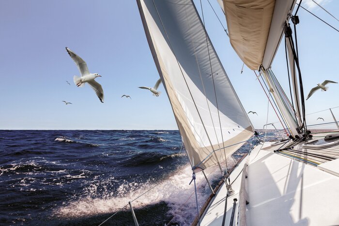 Ein segelboot und möwen auf dem offenen meer