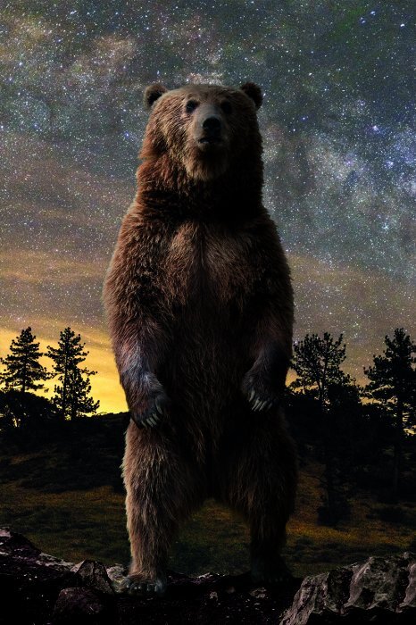 Ein braunbär in einer malerischen hügellandschaft