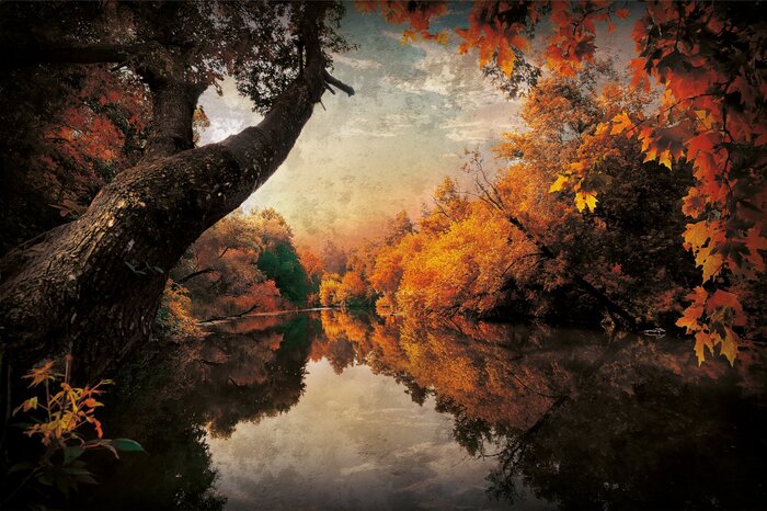 Herbstwald an einem ruhigen fluss