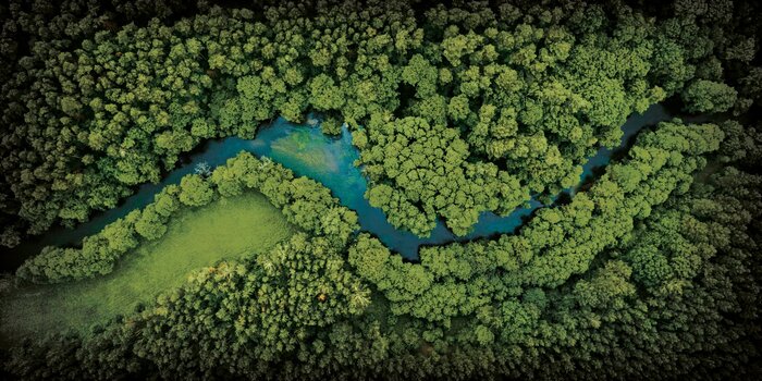 Ein grünes tal mit einem fließenden fluss