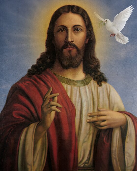 Göttlicher erlöser mit einem weißen vogel